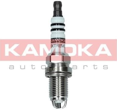 Spark Plug 7100507