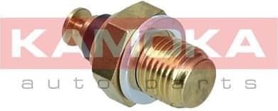 Sensor, coolant temperature 4080049 - image 4