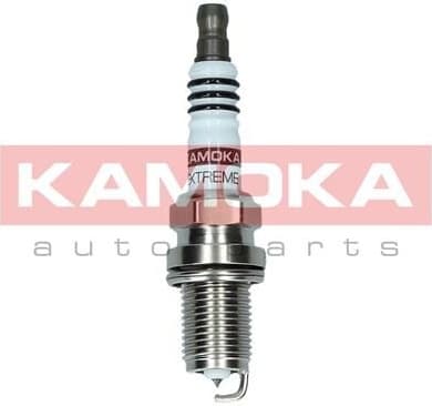 Spark Plug 7100060