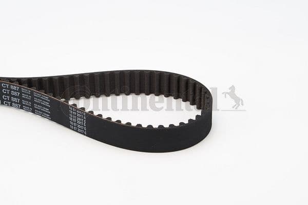Timing Belt CT887 - image 2