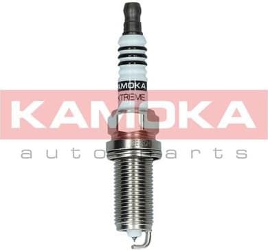 Spark plug 7100061