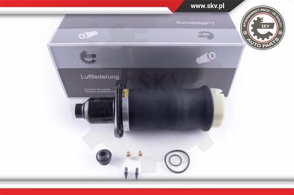 Air Spring, suspension 58SKV041
