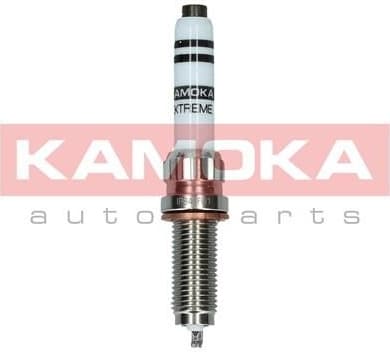 Spark Plug 7100065