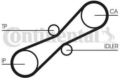 Timing Belt CT791 - image 3