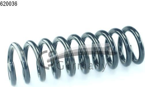 Suspension Spring 14620036