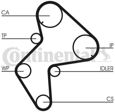 Timing Belt CT775 - image 3