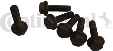 Bolt Set, crankshaft pulley MS22