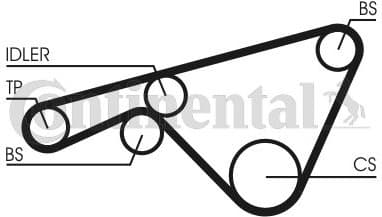Timing Belt CT925 - image 3