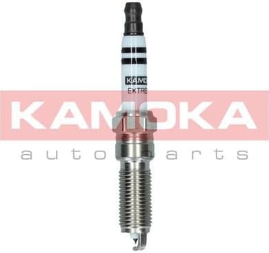 Spark Plug 7100062