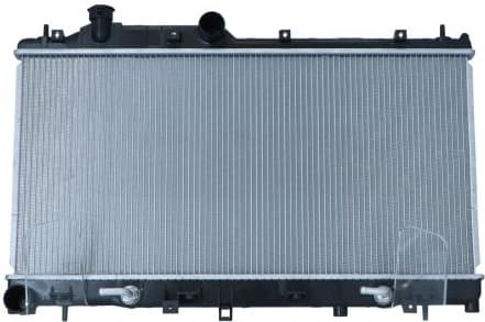 Radiator, engine cooling 550102