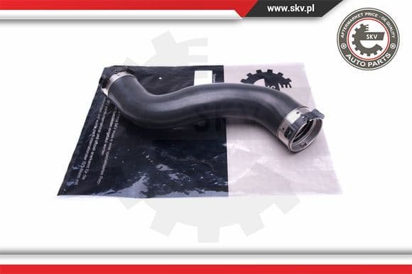 Radiator Hose 43SKV881