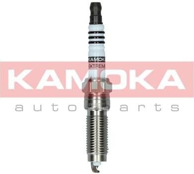 Spark Plug 7100067