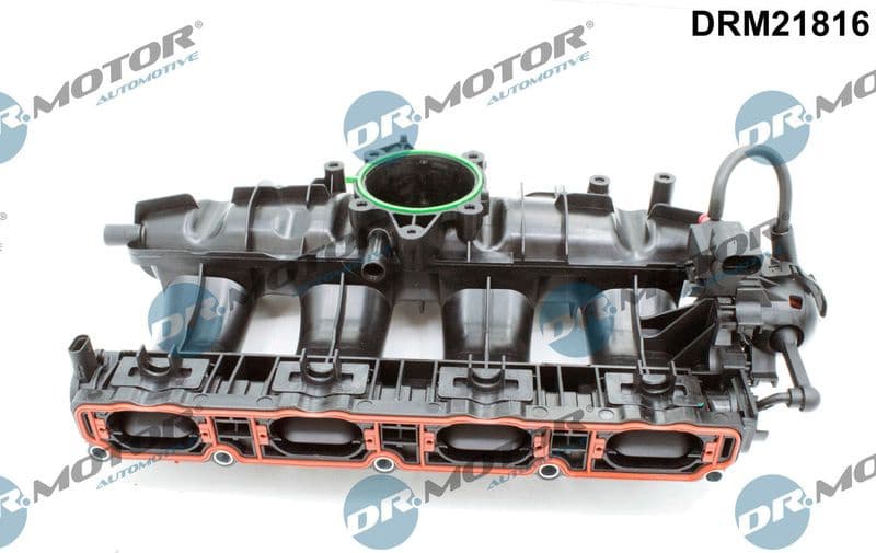 Intake Manifold Module DRM21816
