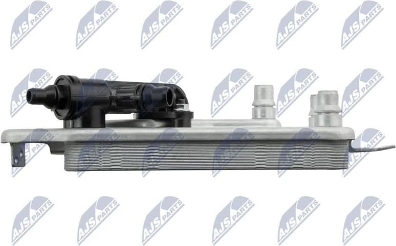 CCL-BM-041 - image 3