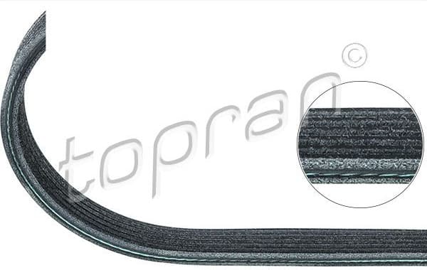 V-ribbed Belt 109 659