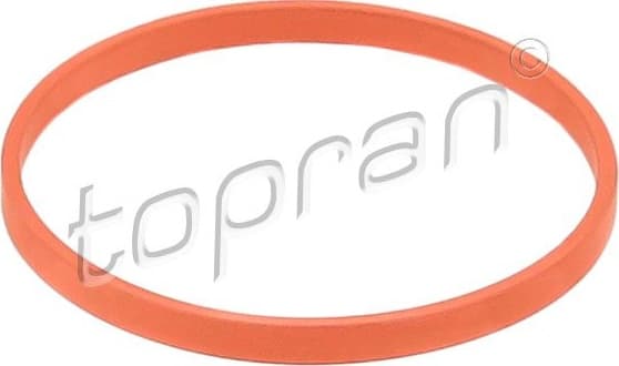 Gasket, throttle body 117 386