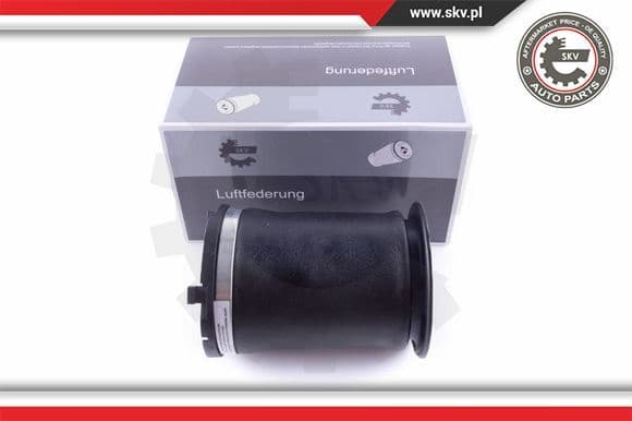Air Spring, suspension 58SKV024