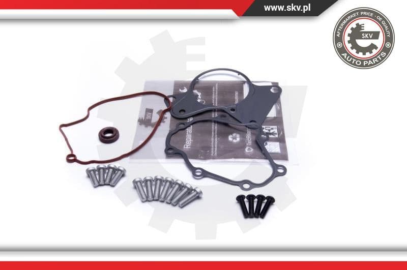 Repair Set, vacuum pump (braking system) 18SKV802