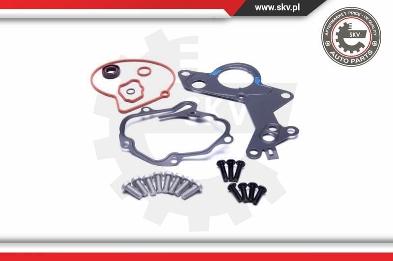 Repair Set, vacuum pump (braking system) 18SKV801 - image 2