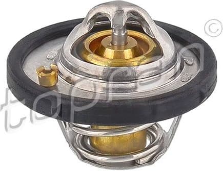 Thermostat, coolant 301 890