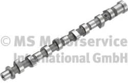 Camshaft 50007803
