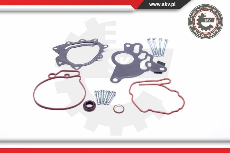 Repair Set, vacuum pump (braking system) 18SKV804 - image 2