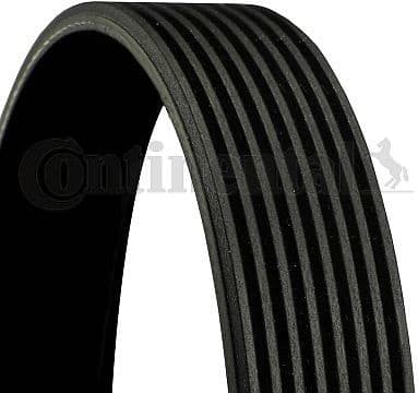 V-ribbed Belt 8PK1310 EXTRA