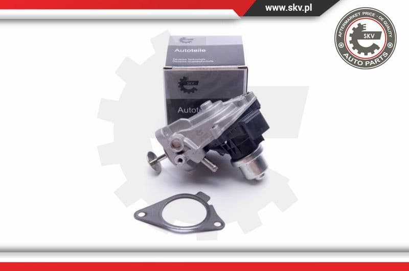 EGR Valve 14SKV233