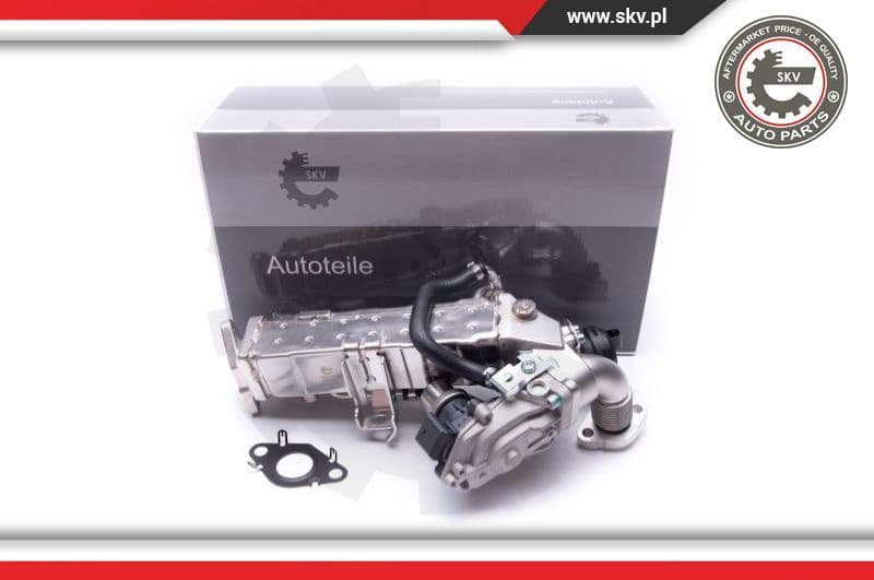 EGR Valve 14SKV235