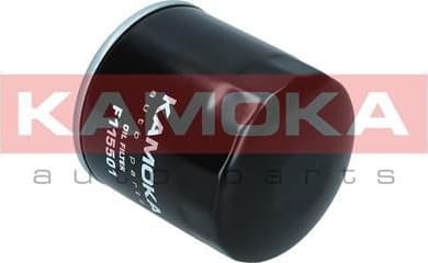 Oil Filter F115501 - image 6