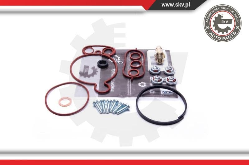 Repair Set, vacuum pump (braking system) 18SKV805