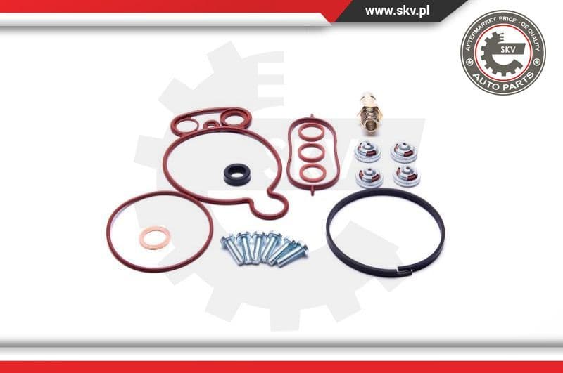 Repair Set, vacuum pump (braking system) 18SKV805 - image 2