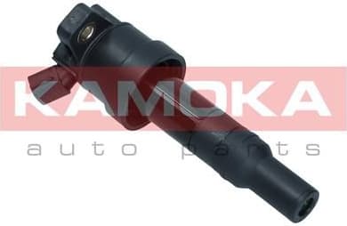 Ignition Coil 7120110