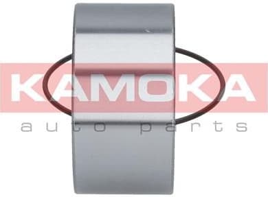 Wheel Bearing Kit 5600006 - image 8