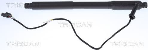 Gas Spring, boot/cargo area 8710 11303