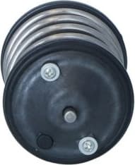 Thermostat, coolant 725274