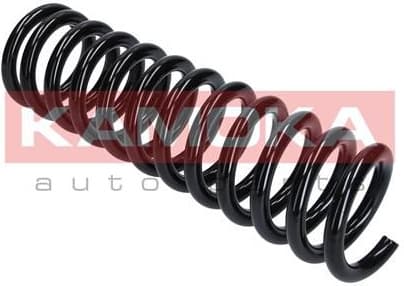 Suspension Spring 2110180 - image 2