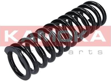 Suspension Spring 2110180 - image 5