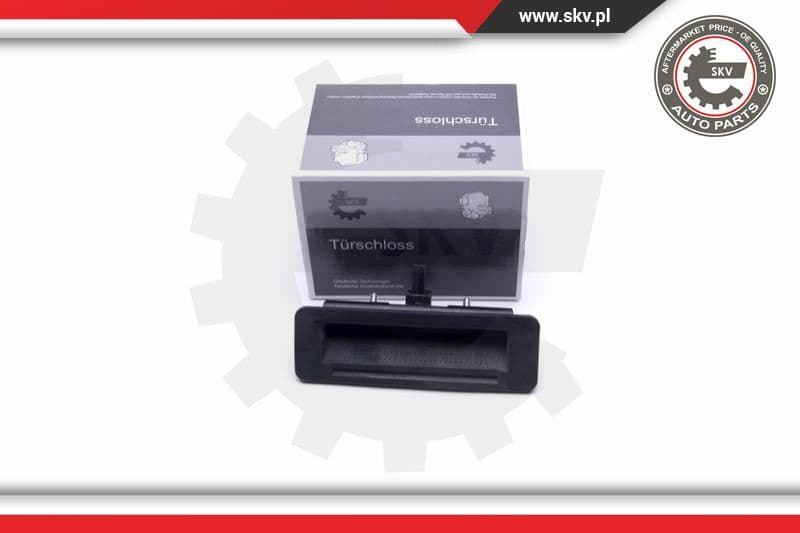 Switch, tailgate release 16SKV274