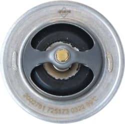 Thermostat, coolant 725173