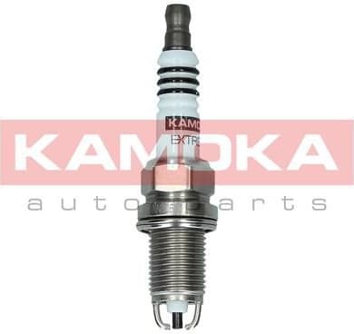 Spark Plug 7100504