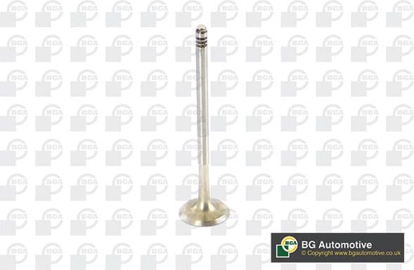 Exhaust Valve V090103