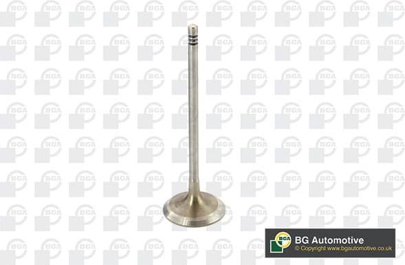 Intake Valve V090102