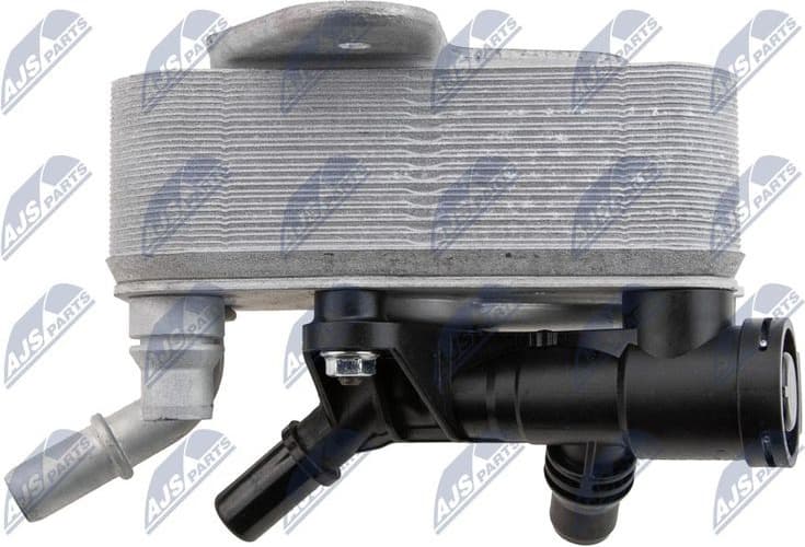 CCL-BM-042 - image 3