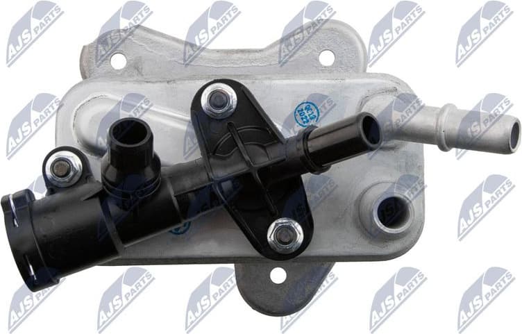 CCL-BM-042 - image 4