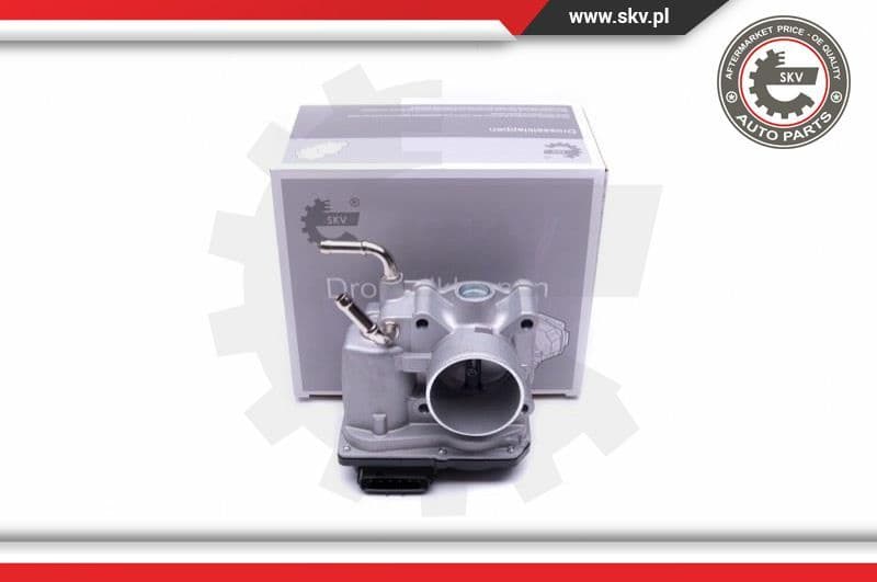 Throttle Body 12SKV097