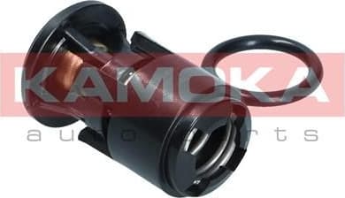 Thermostat, coolant 7710094 - image 4