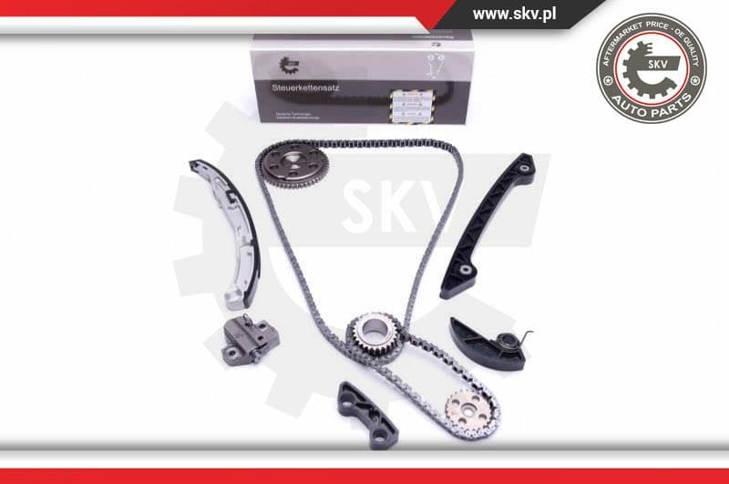 Timing Chain Kit 21SKV219