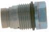 Pressure Limiting Valve, common rail system 1110010028