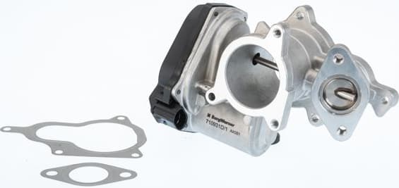 710931D/1 (BorgWarner (Wahler))